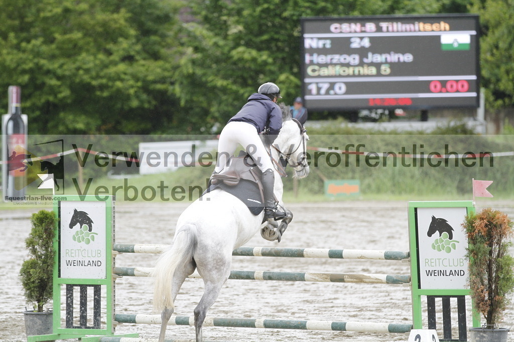_MG_5899 | equestrian-live-com