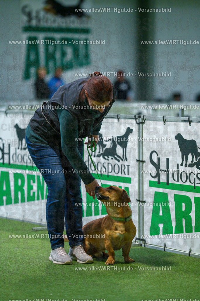 7R507140 | Professionelle Tierfotografie in Mönchengladbach von Daniel Wirth (allesWIRTHgut). Liebevolle & natürliche Bilder von Hunden & Katzen für unvergessliche Erinnerungen.