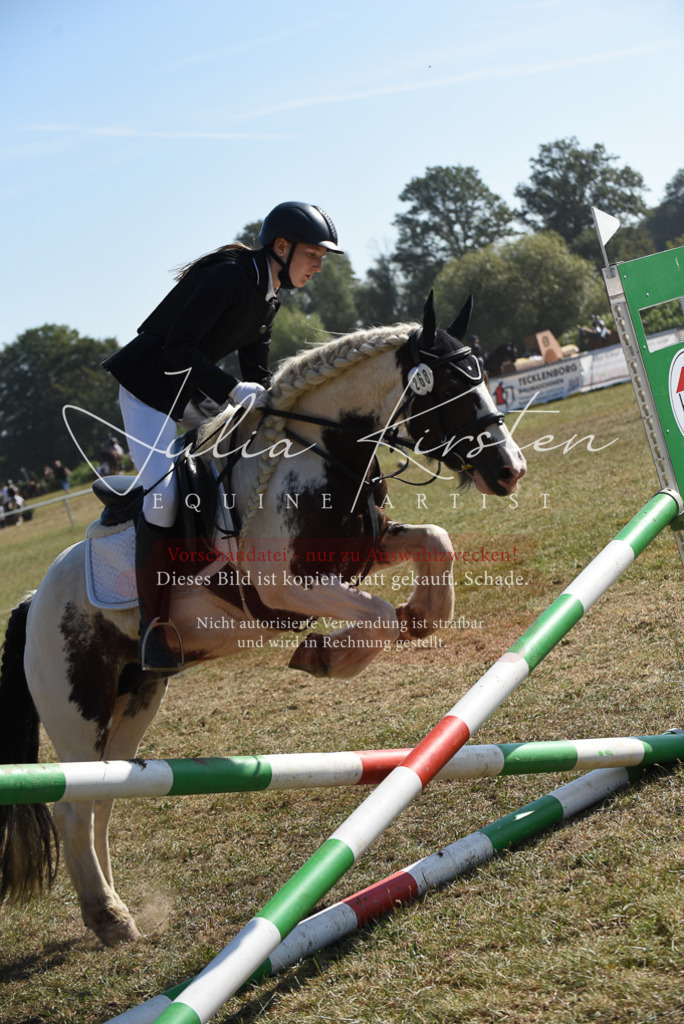 DSC_6095 | Pferde- und Turnierfotografie in Westsachsen. Pferdeportraits, Auftragszeichnungen und intuitive Kunst.