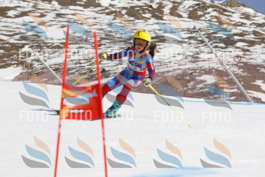 _U3G9188 | holidayphoto