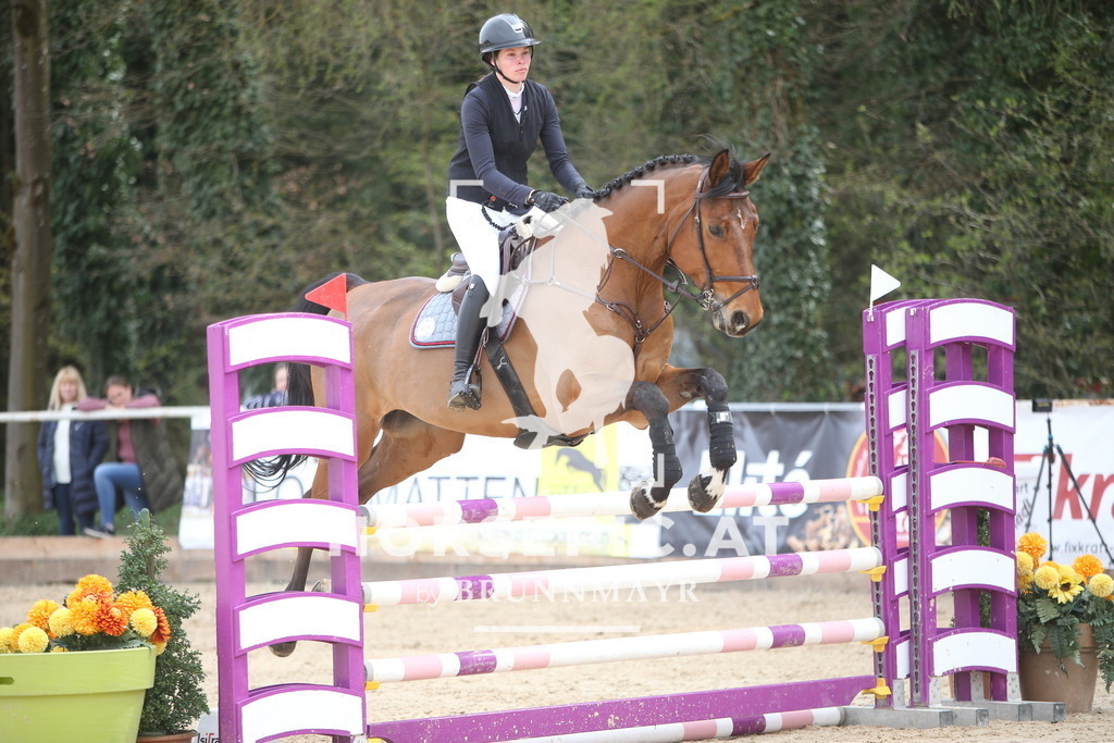 PP017993 | Willkommen bei Brunnmayr - Design & Fotografie – Ihrem Spezialisten für Reitturniere und Pferdeveranstaltungen in Oberösterreich, Salzburg und Bayern! Seit über 17 Jahren sind wir leidenschaftlich dabei.