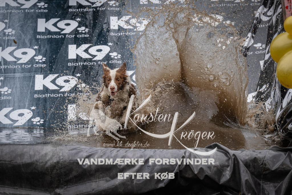 1259_ZZ90834 | kk-dogfotos
