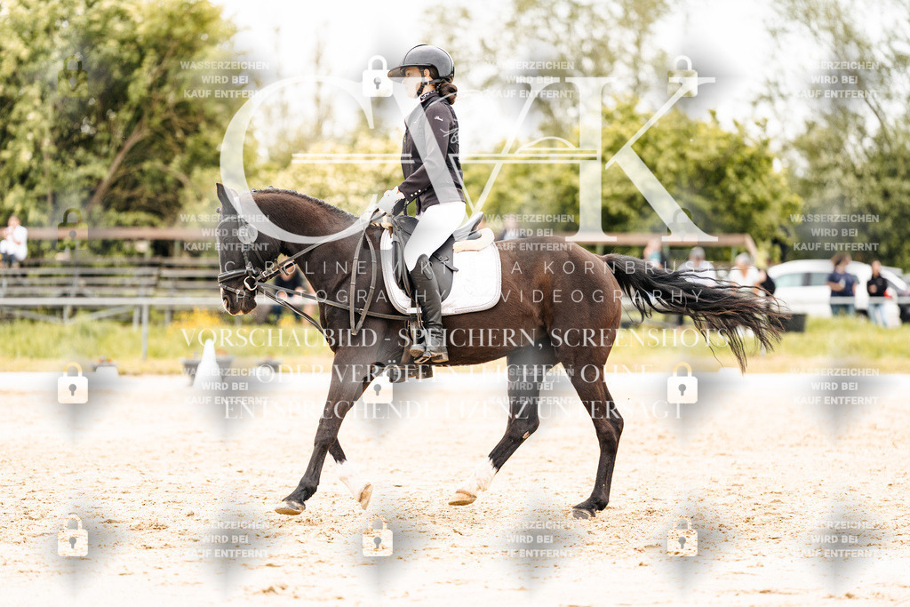 CK903619 | Turnierfotografie Pferdefotografie Trier Rheinland-Pfalz Pferdesport Reitsport Tierfotografie Sportfotografie Pferdevideo Pferdevideografie Equestrianvideography equestrianphotography  - Realisiert mit Pictrs.com