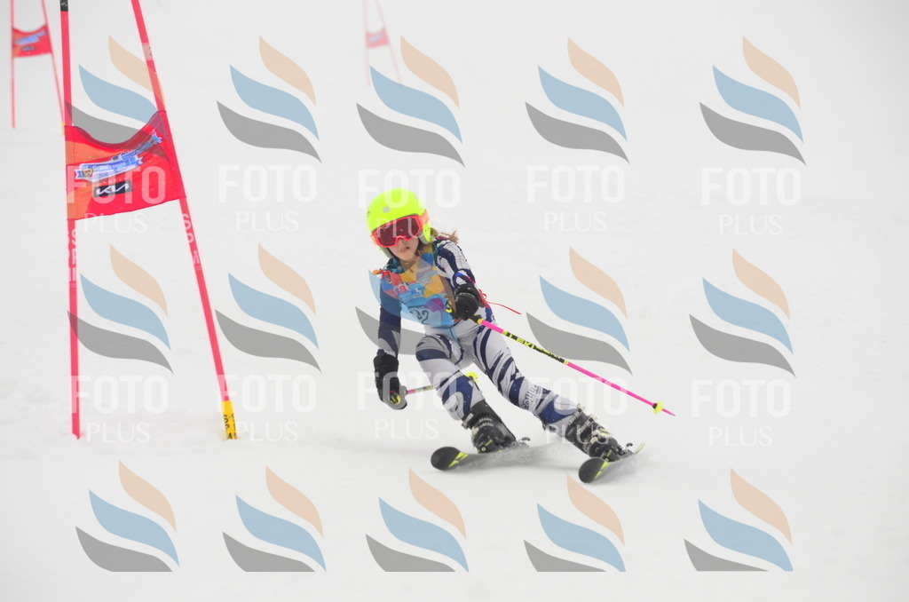 C1308 | holidayphoto