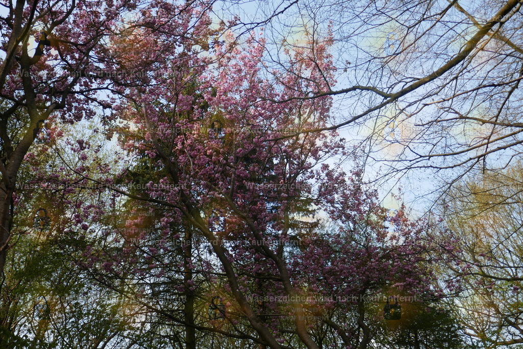 P1100861 | Fotoseite Wolkenblende - Das Hobby fotografieren begleitet mich schon  viele  Jahre. Auf den nächsten Seiten zeige ich ein paar Schnappschüsse der letzten Jahre und es kommen immer neue hinzu. Schau einfach mal rein. - Realisiert mit Pictrs.com