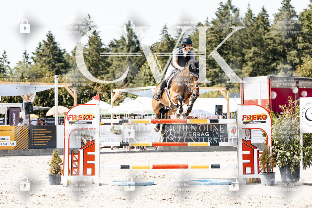 CK905141 | Turnierfotografie Pferdefotografie Trier Rheinland-Pfalz Pferdesport Reitsport Tierfotografie Sportfotografie Pferdevideo Pferdevideografie Equestrianvideography equestrianphotography  - Realisiert mit Pictrs.com