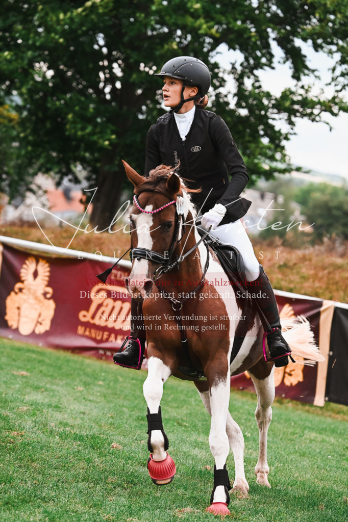 DSC_6266 | Pferde- und Turnierfotografie in Westsachsen. Pferdeportraits, Auftragszeichnungen und intuitive Kunst.