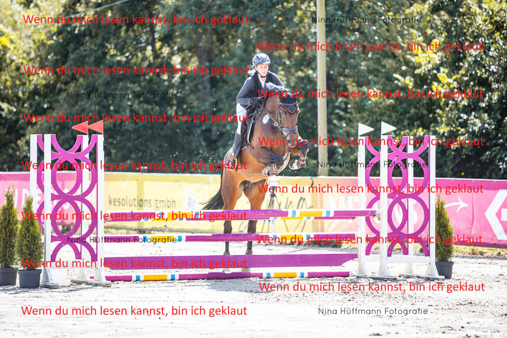 BK1A5129 | Turnierbilder Turnierfotos Nina Hüffmann Turnierfotografie Pferdefotografie Tierzeichnung Haustierzeichnung Pferdezeichnung Hundezeichnung Videograf  - Realisiert mit Pictrs.com