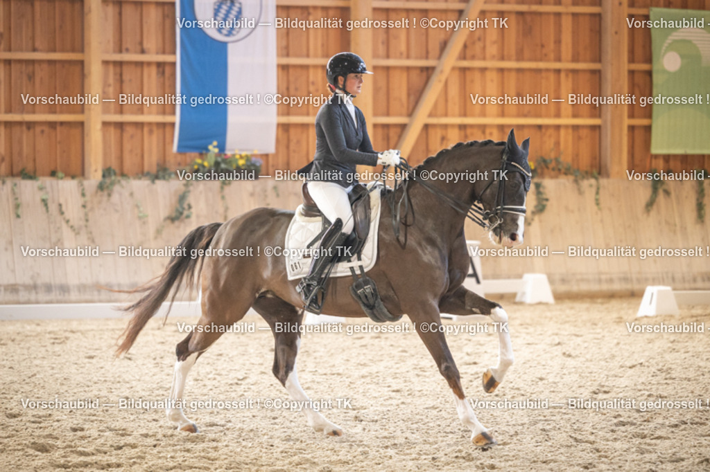 _D5A6503 | Emotionale Pferde- & People-Fotografie rund um Heidelberg, Leimen & Umgebung. Natürliche Fotos von Pferd, Mensch & Familie. Jetzt Termin sichern!