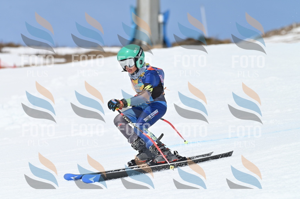 BGV_2319 | holidayphoto