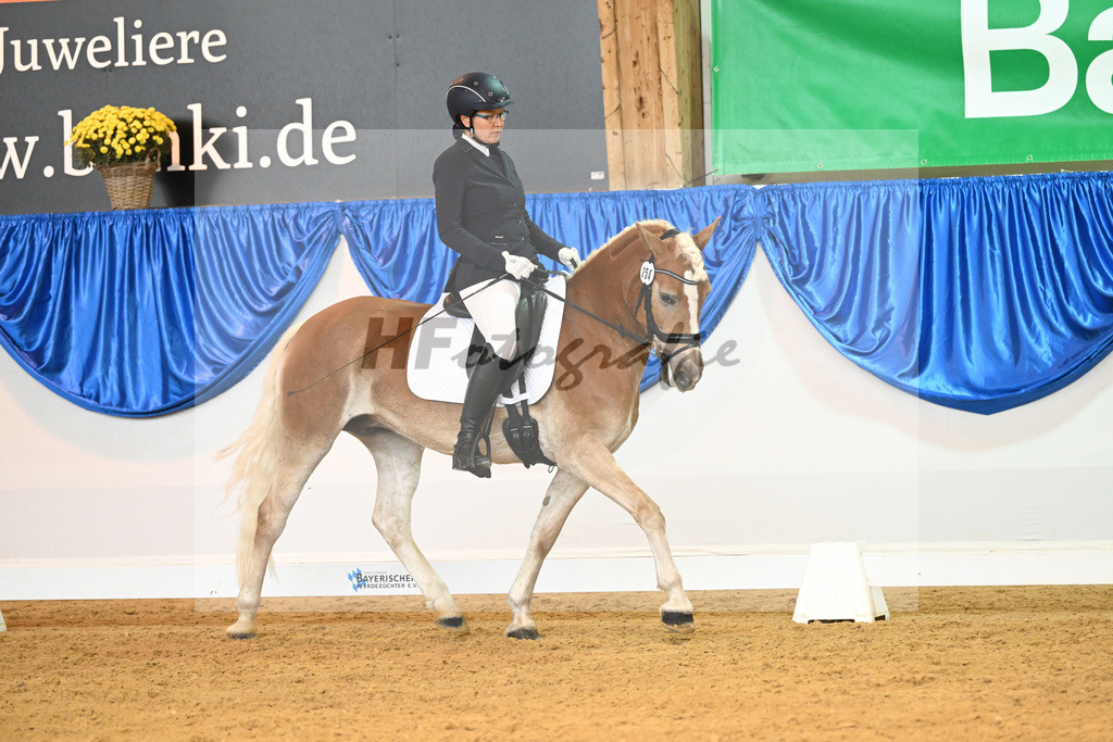 Kat-Nr. 254 Holly_Noack_54221988 | hf-fotografie - Realisiert mit Pictrs.com