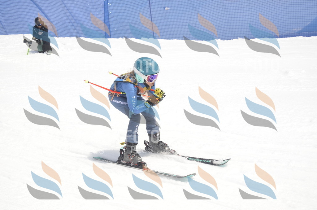 _ELE8823 | holidayphoto