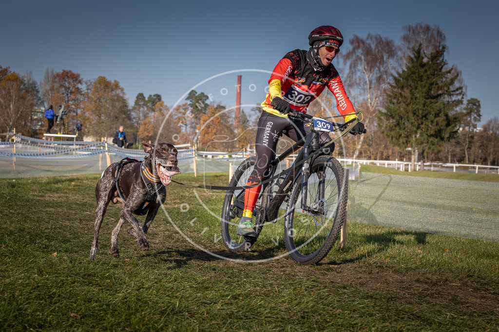 CaniXpix_0L8A7569 | Hundefotografie, Tierfotograf, Pfotenfotografie, Fotoshooting Hund, Hunde Portrait, Hundesport, Hundeportraits, Heideshooting, Hunde, Sportfotograf, Hundefotograf, Turnierhundsport, THS,  - Realisiert mit Pictrs.com