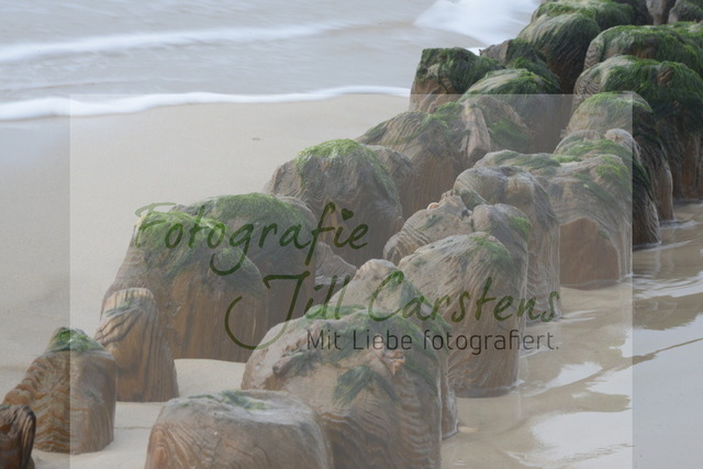 DSC_9441 | fotografie-jill-carstens