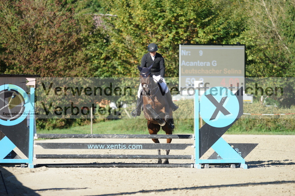 DSC08222 | equestrian-live-com