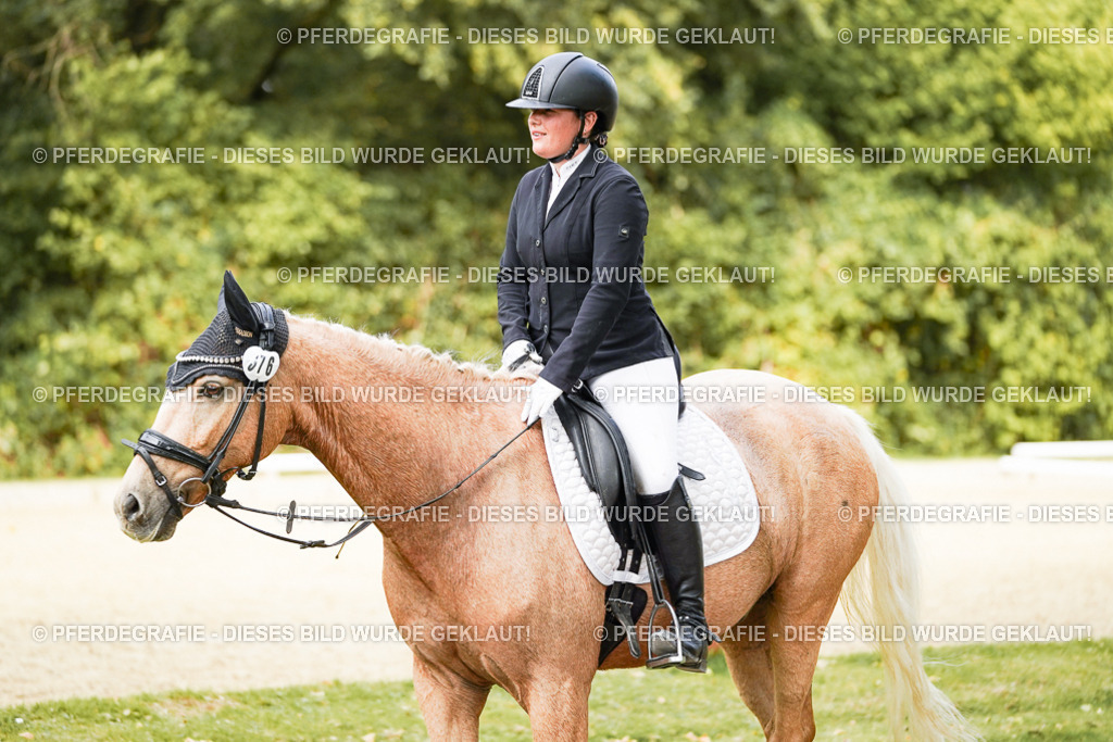 DSC03334 | Pferdegrafie