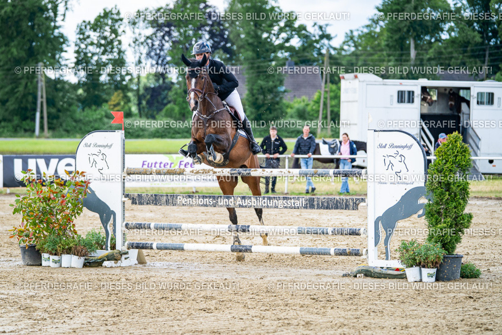 DSC04903 | Pferdegrafie