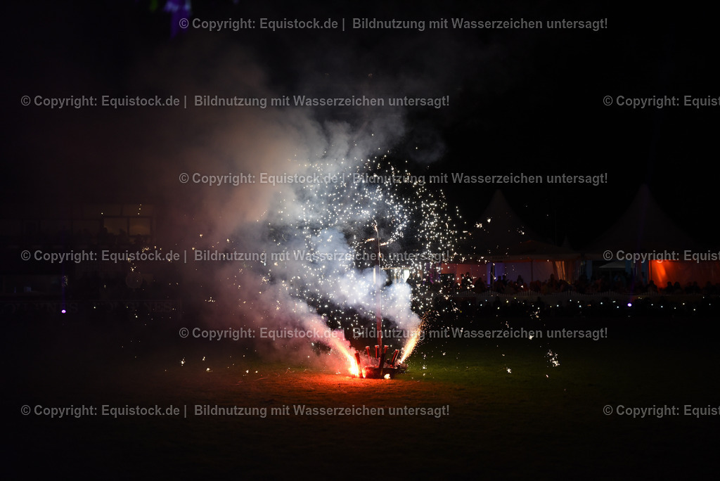 20230526_Pferdenacht_1624 | equistock