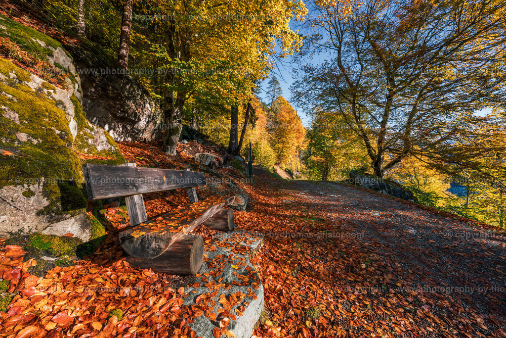 Finkenerg Herbst  Wasserfallweg copyright  Thomas Pfister-1 | PHOTOGRAPHY BY THOMAS PFISTER