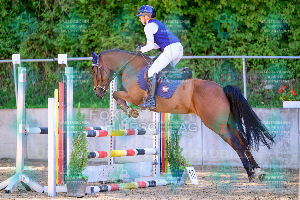 29082026-Giesenbach-Prfg10-0880 | Fokus Hufschlag Fotografie - Realisiert mit Pictrs.com