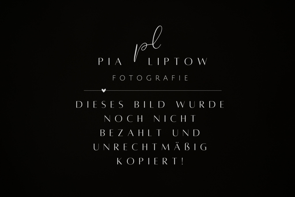 IMGT7634 | pl-fotografie