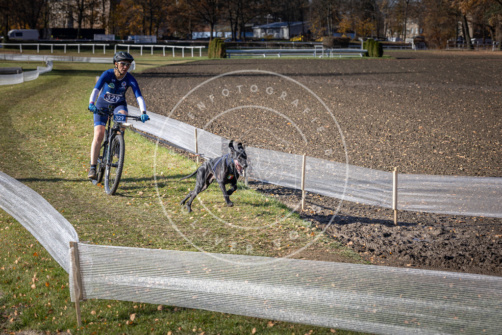 CaniXpix_DV3A6704 | Hundefotografie, Tierfotograf, Pfotenfotografie, Fotoshooting Hund, Hunde Portrait, Hundesport, Hundeportraits, Heideshooting, Hunde, Sportfotograf, Hundefotograf, Turnierhundsport, THS,  - Realisiert mit Pictrs.com