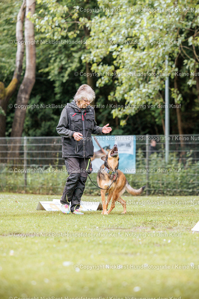 RO-Blumenthal-2026-Nickbest-Hundefotografie-1351 | Dein Hund! Dein Moment! Deine Erinnerungen! Hundefotografie in Bremen Blumenthal. Ich fange die besonderen Momente deines Vierbeiners ein – ob Indoor mit Blitzanlage oder in der freien Natur. Sicher dir dein Moment und dein Termin für eure Erinnerungen.