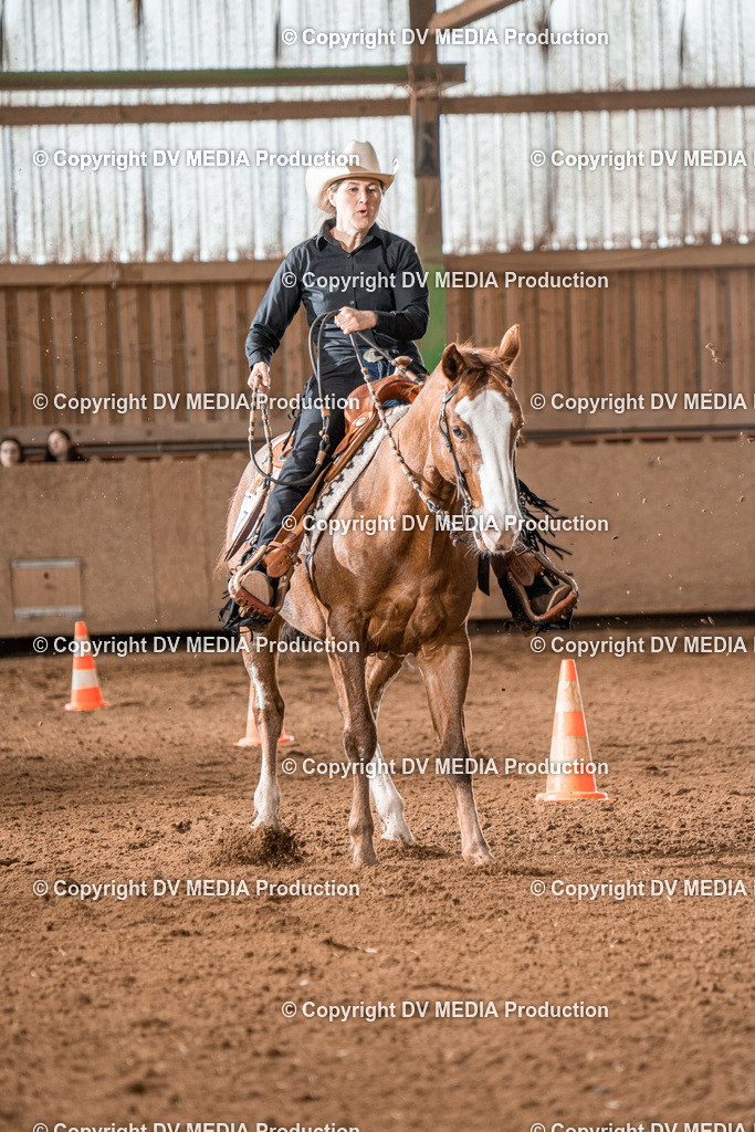 BAL00616 | dv-media-shop - Realisiert mit Pictrs.com