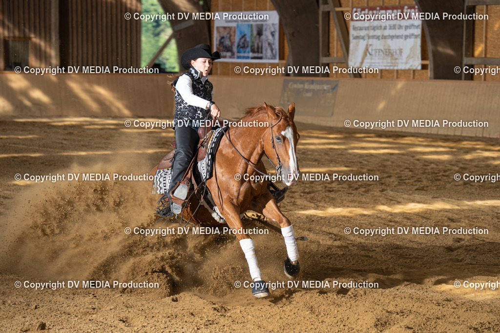 DSC00554 | dv-media-shop - Realisiert mit Pictrs.com