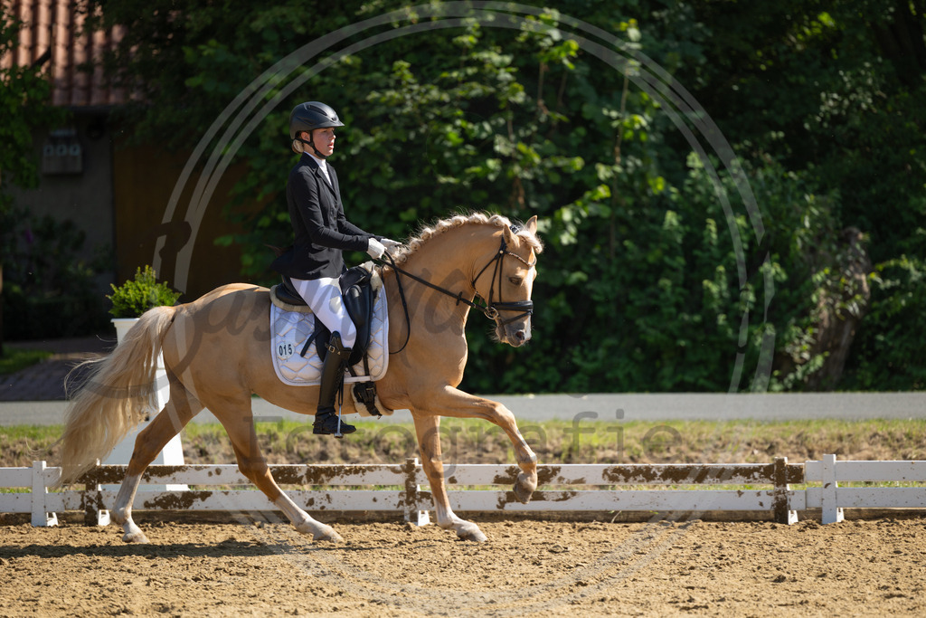 994A3139 | sabrinanicolaifotografie - Realisiert mit Pictrs.com