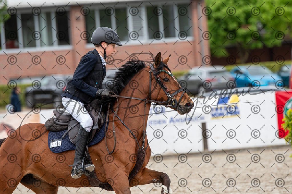 KPT_8249 | andre_photographic