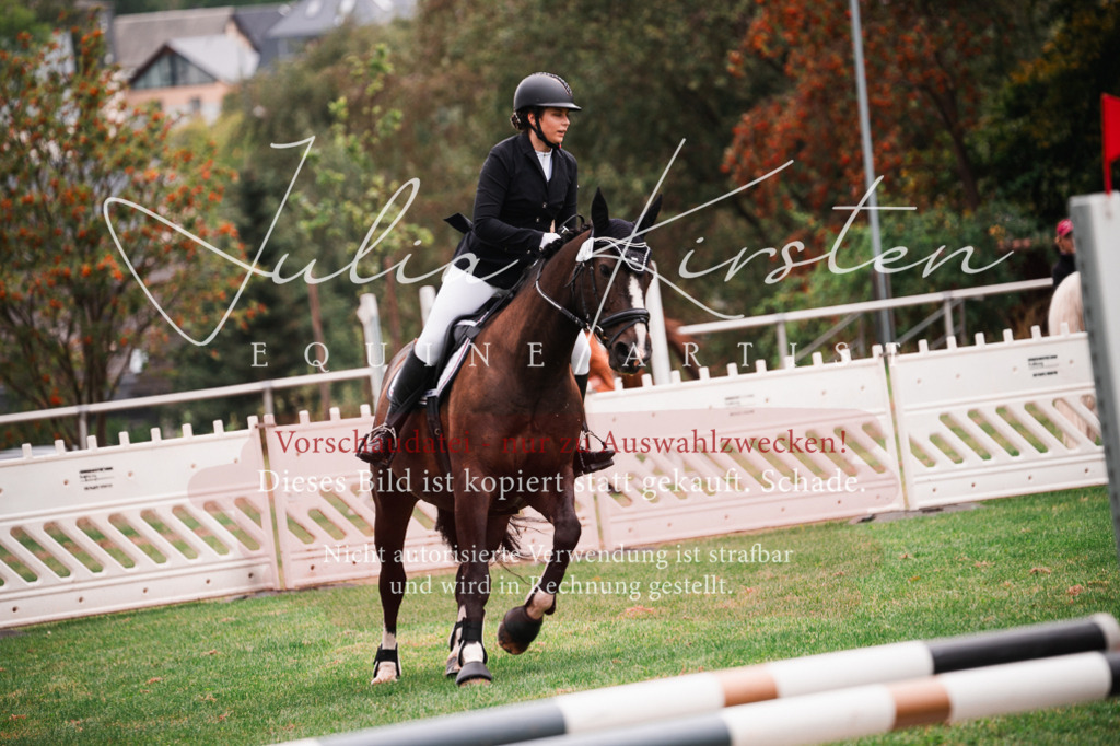 DSC_5833 | Pferde- und Turnierfotografie in Westsachsen. Pferdeportraits, Auftragszeichnungen und intuitive Kunst.