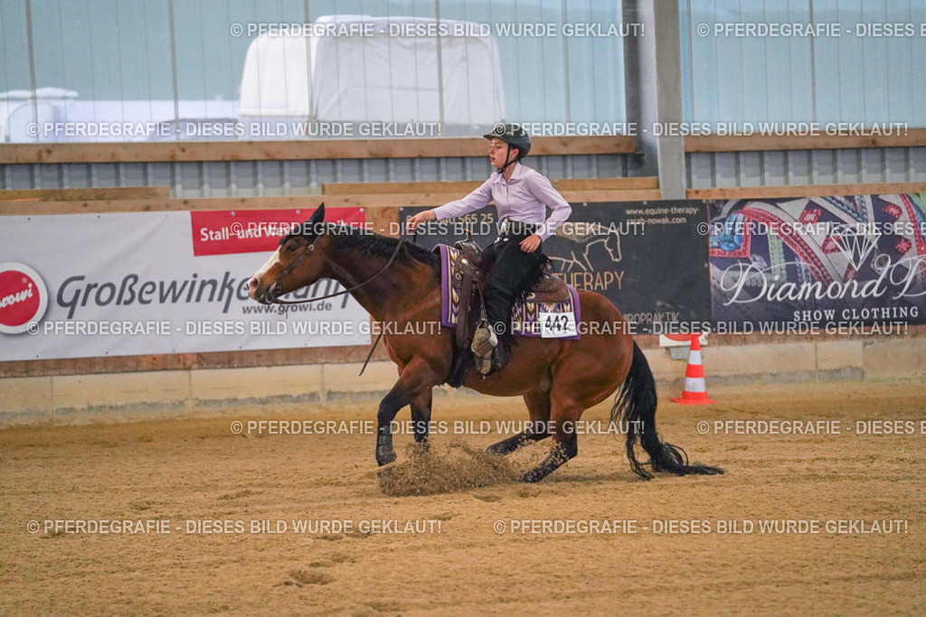 DSC09419 | Pferdegrafie