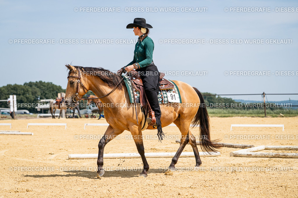 DSC01252 | Pferdegrafie