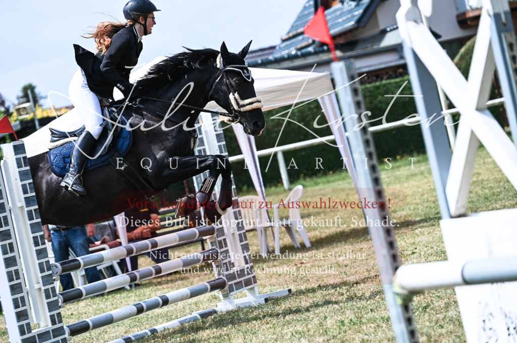 DSC_9140 | Pferde- und Turnierfotografie in Westsachsen. Pferdeportraits, Auftragszeichnungen und intuitive Kunst.