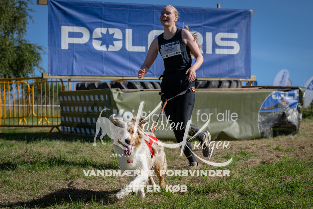 1005_ZZ97501 | kk-dogfotos