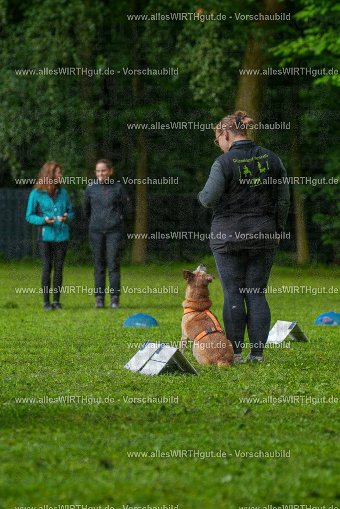 @allesWIRTHgut_Tierfotografie - www.allesWIRTHgut.de - 7R502014 | Professionelle Tierfotografie in Mönchengladbach von Daniel Wirth (allesWIRTHgut). Liebevolle & natürliche Bilder von Hunden & Katzen für unvergessliche Erinnerungen.