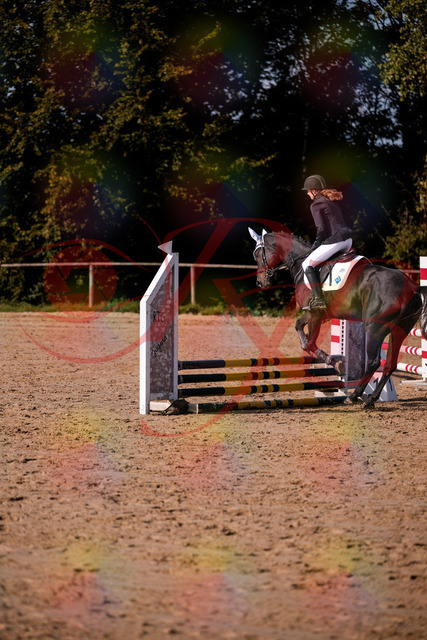 2026_10_03_Siefer-Hof_153510_Z81_46676744 | Professionelle Reitsport-, Turnier- und Eventfotografie von Robert Broda. Galerien mit ausgewählten und bearbeiteten Bildern direkt online ansehen und bestellen.