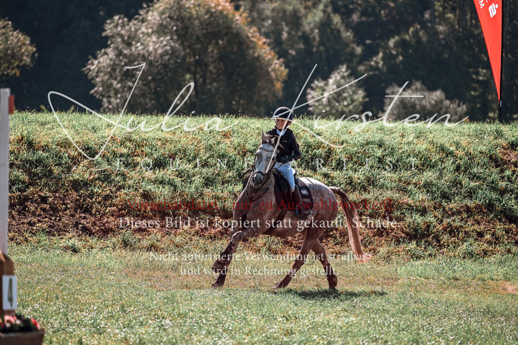 DSC_1142 | Pferde- und Turnierfotografie in Westsachsen. Pferdeportraits, Auftragszeichnungen und intuitive Kunst.