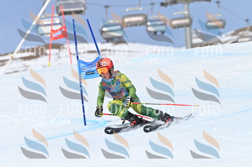 BGV_3783 | holidayphoto