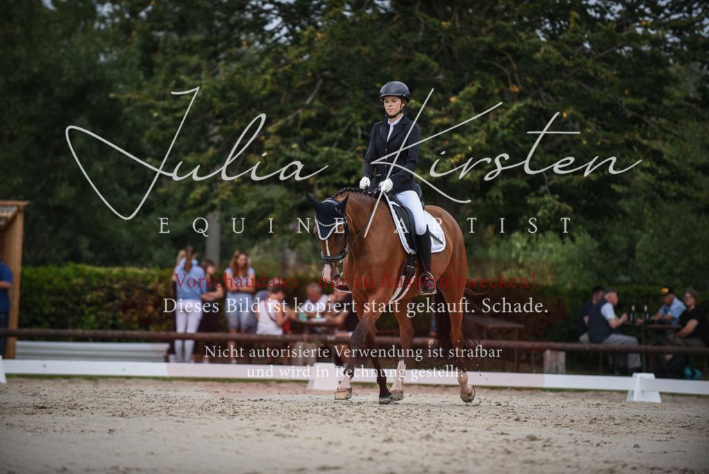 DSC_8400 | Pferde- und Turnierfotografie in Westsachsen. Pferdeportraits, Auftragszeichnungen und intuitive Kunst.