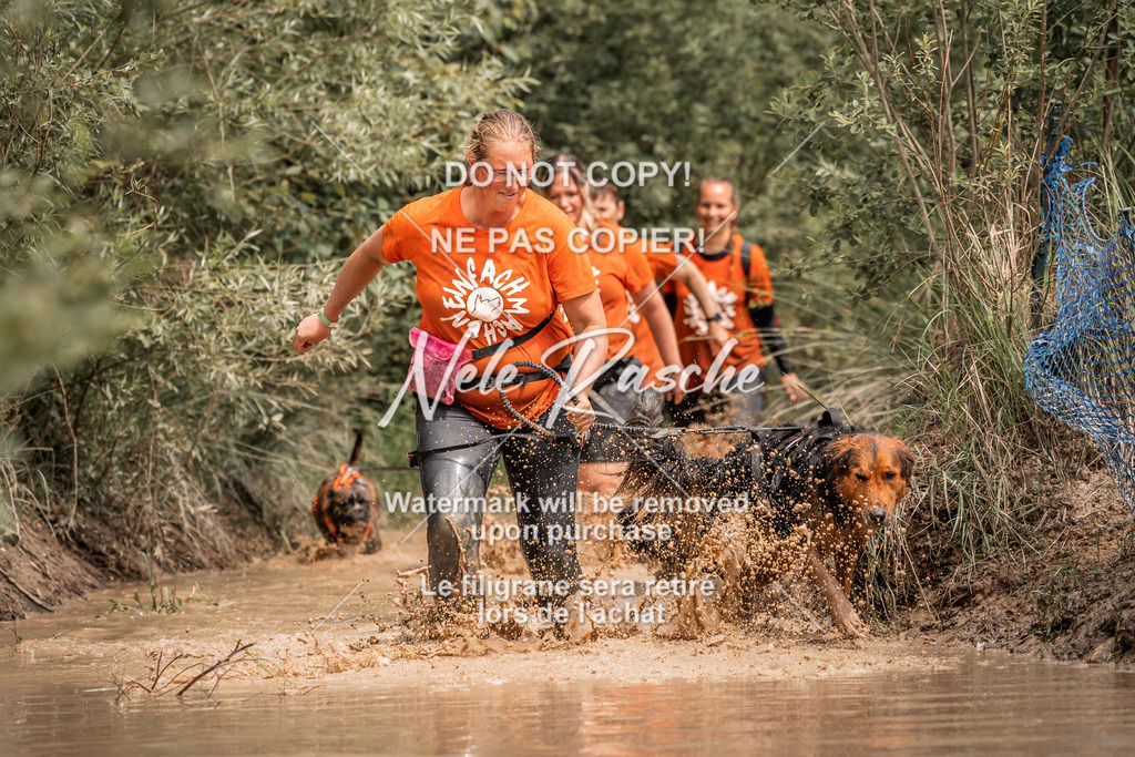 nelerasche_Hoope2026_So1400-1430_203 | nelerasche