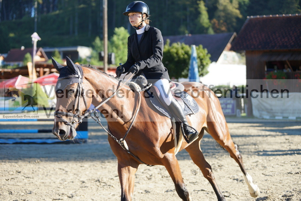 DSC08182 | equestrian-live-com