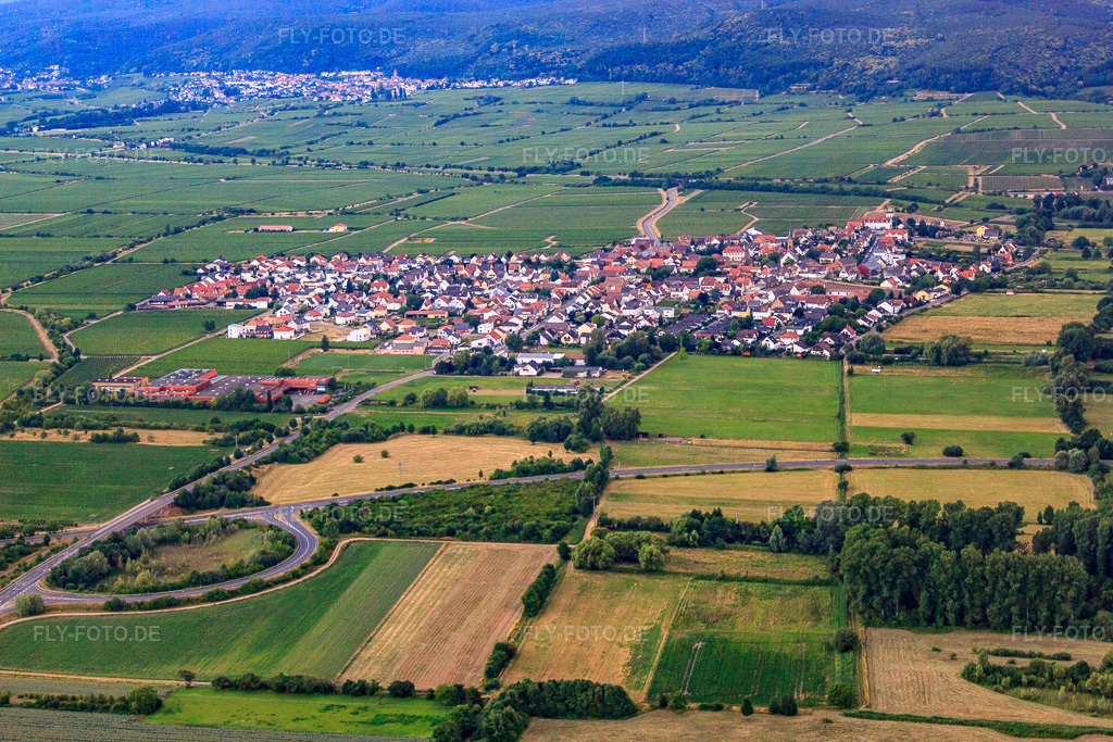 Luftbild: Ortsansicht aus Osten in Ruppertsberg im Bundesland Rheinland-Pfalz in Deutschland. Foto: IMG_69282.jpg vom 24.06.2014 durch Werner Riehm/FLY-FOTO.de