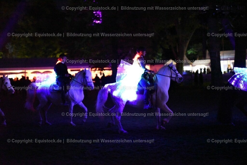 20230526_Pferdenacht_1554 | equistock