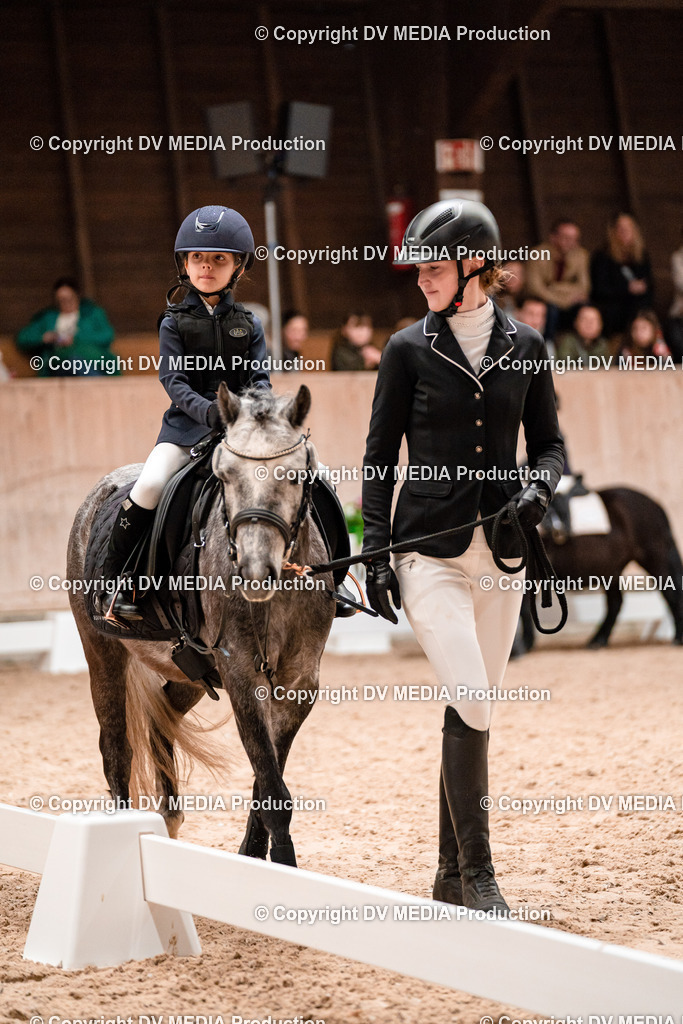 Dressur Tag 3-466 | dv-media-shop - Realisiert mit Pictrs.com