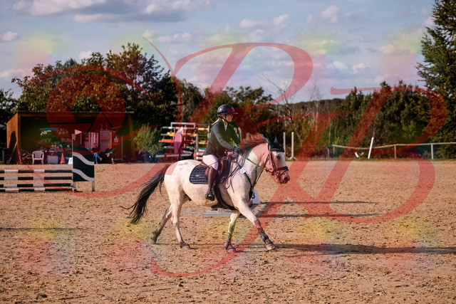 2026_10_03_Siefer-Hof_154523_Z81_64110477 | Professionelle Reitsport-, Turnier- und Eventfotografie von Robert Broda. Galerien mit ausgewählten und bearbeiteten Bildern direkt online ansehen und bestellen.