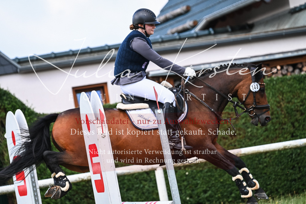 DSC_8022 | Pferde- und Turnierfotografie in Westsachsen. Pferdeportraits, Auftragszeichnungen und intuitive Kunst.