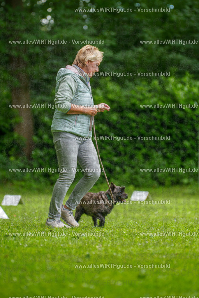 @allesWIRTHgut_Tierfotografie - www.allesWIRTHgut.de - 130026-7R509661 | Professionelle Tierfotografie in Mönchengladbach von Daniel Wirth (allesWIRTHgut). Liebevolle & natürliche Bilder von Hunden & Katzen für unvergessliche Erinnerungen.