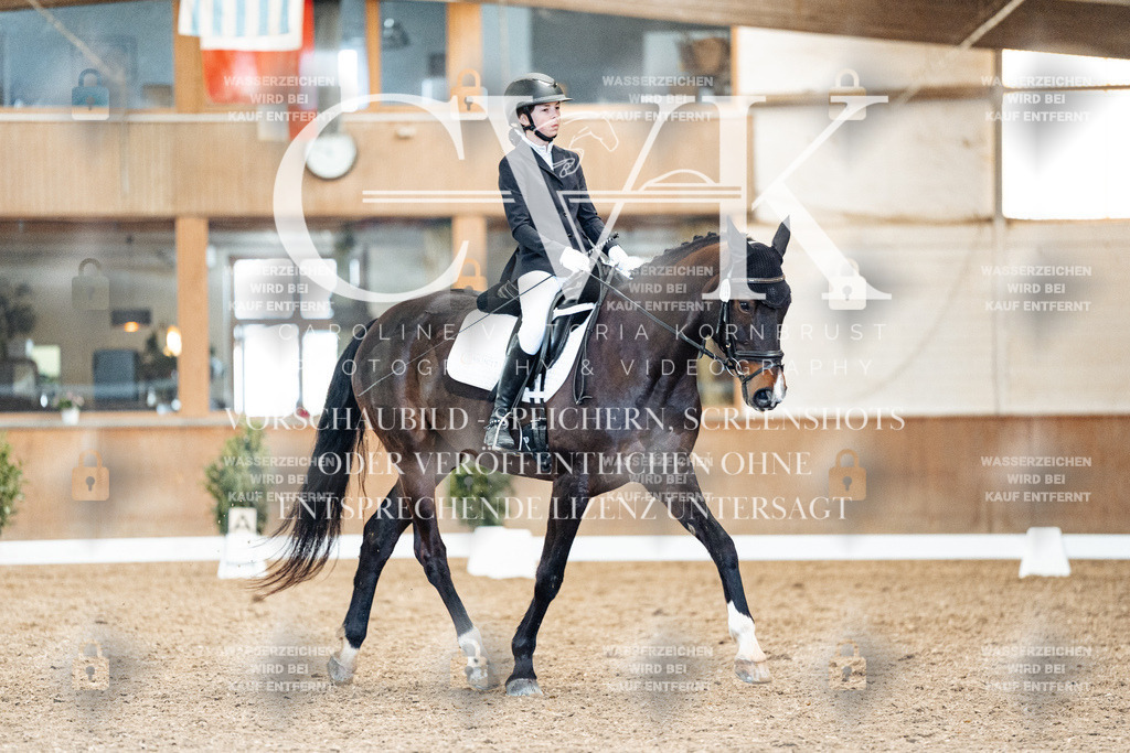 CK909879 | Turnierfotografie Pferdefotografie Trier Rheinland-Pfalz Pferdesport Reitsport Tierfotografie Sportfotografie Pferdevideo Pferdevideografie Equestrianvideography equestrianphotography  - Realisiert mit Pictrs.com